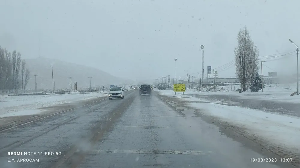 WhatsApp Image 2023-08-19 at 13.51.54