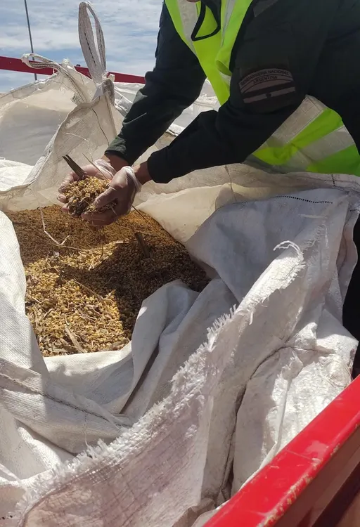 Córdoba 5.500 kilos soja