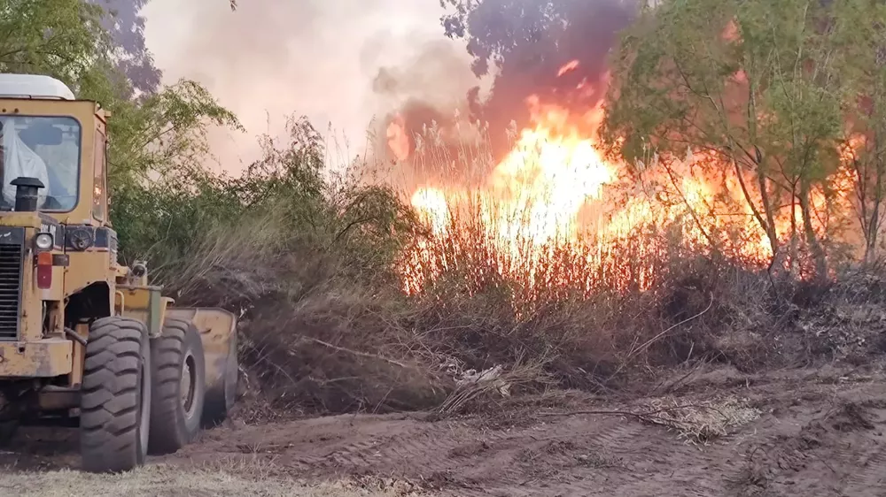 WhatsApp Image 2022-10-02 at 21.23.31