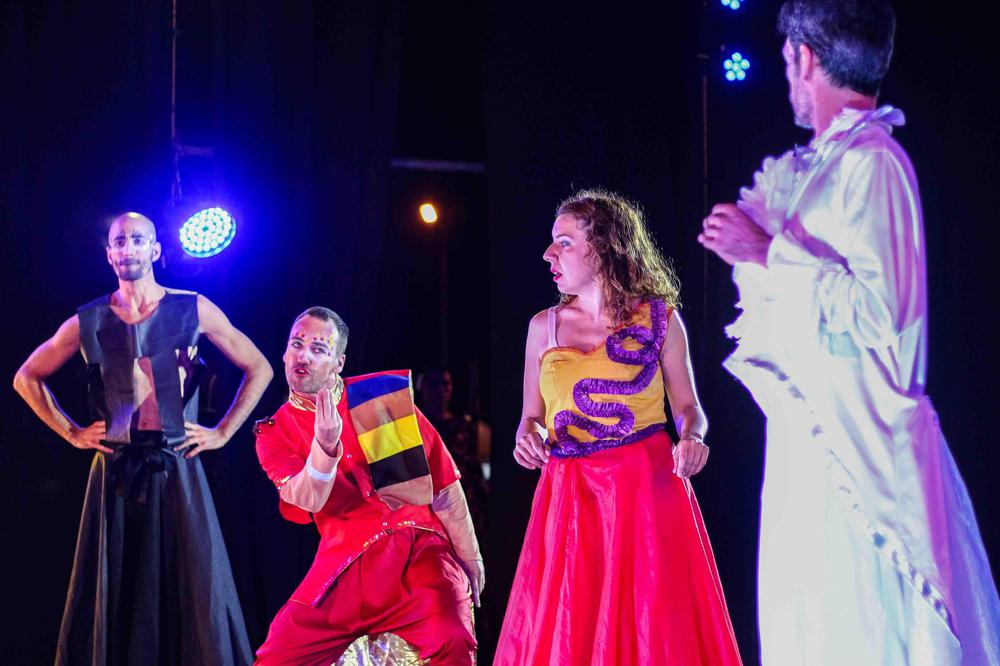 Vendimia distrital (19)