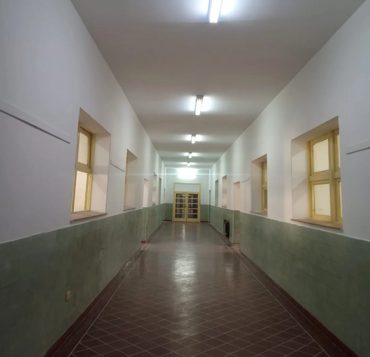 escuelas san luis