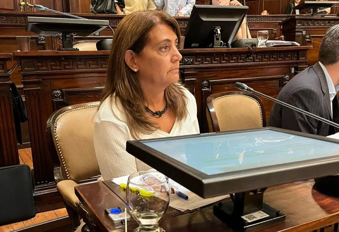 dip lizana san jorge audiencia