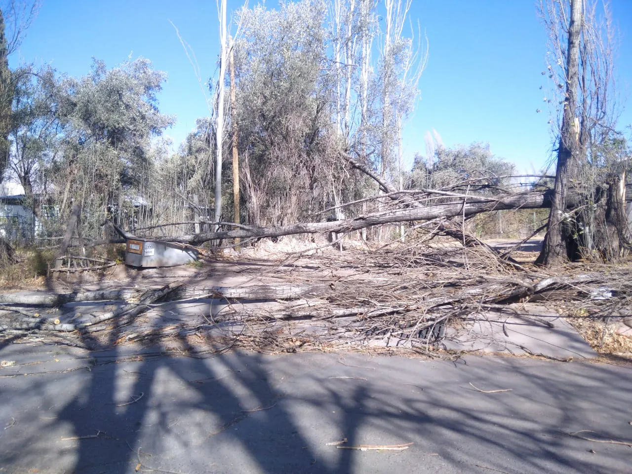 WhatsApp Image 2023-07-21 at 19.36.24