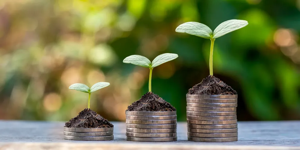 economia ahorro