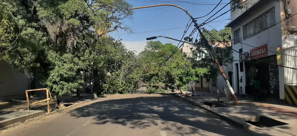 WhatsApp Image 2023-10-29 at 9.01.33 AM