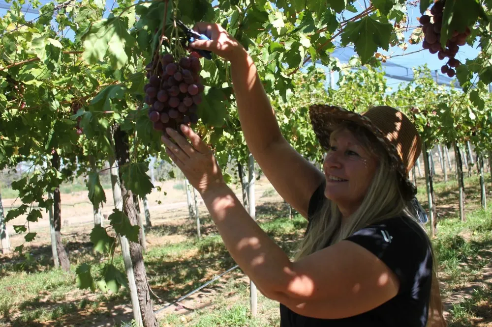 WhatsApp-Image-2026-02-23-at-2.11.30-PM-1536x1023