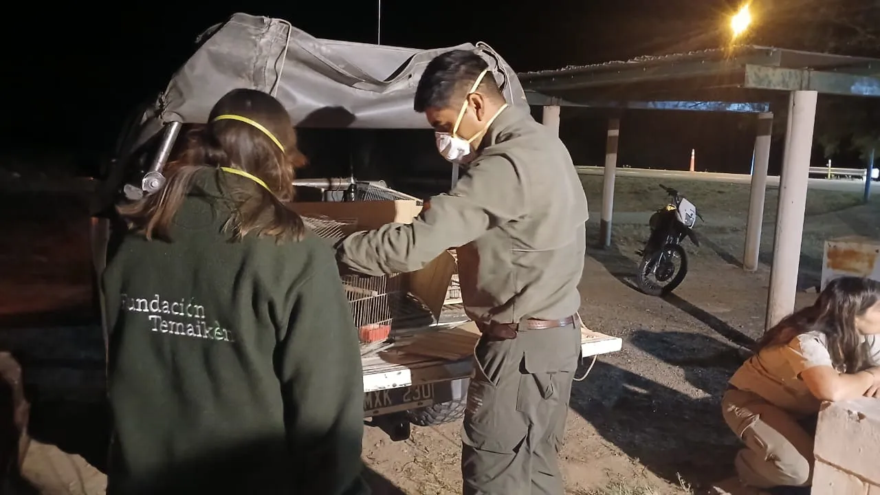 WhatsApp Image 2024-11-20 at 9.50.00 AM