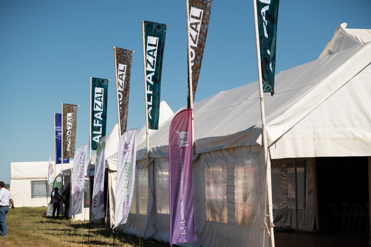 expo alfalfa 11