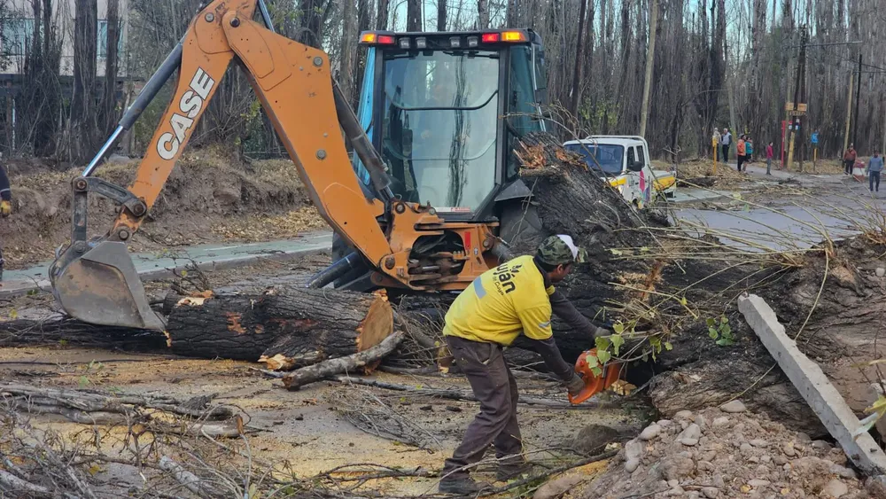 WhatsApp Image 2023-07-21 at 19.36.19 (1)