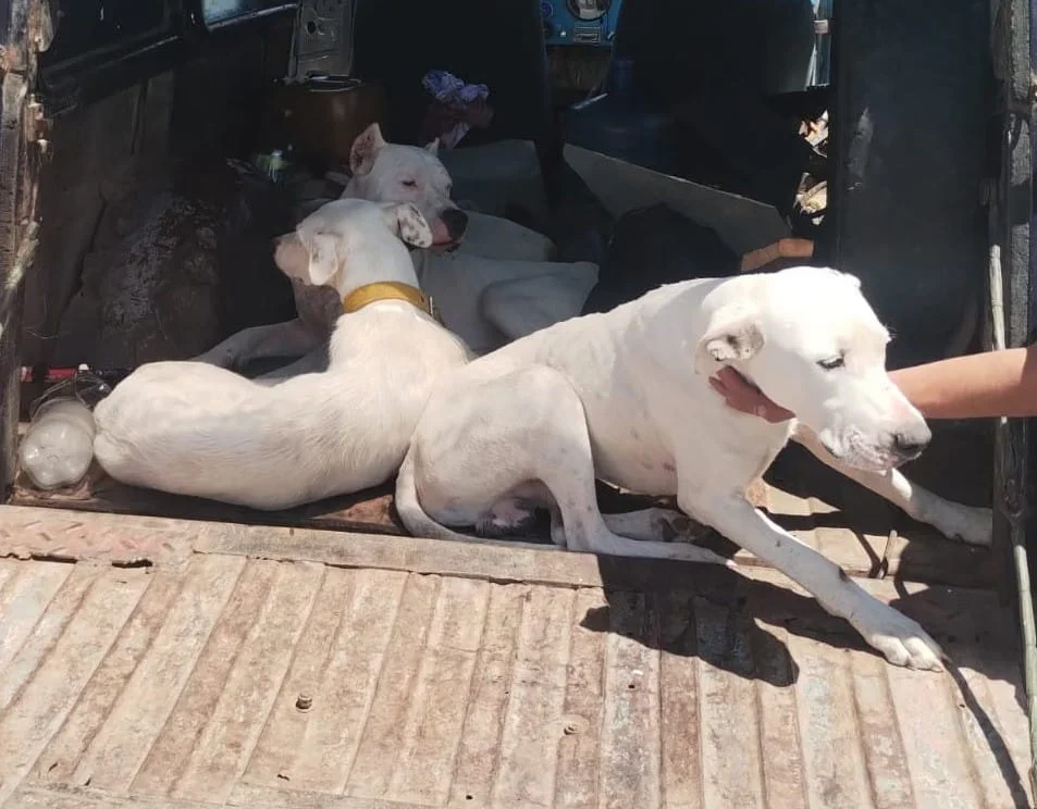 WhatsApp Image 2026-02-12 at 12.55.59 PM