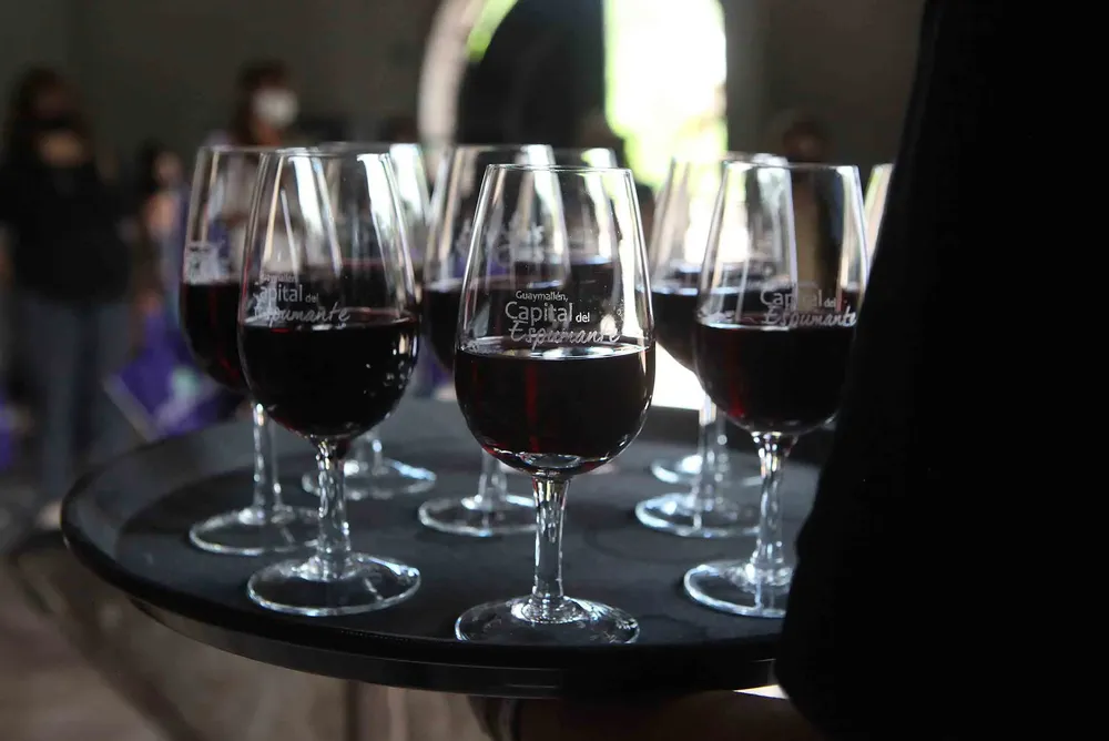 Bus tour descubriendo Guaymallén (6)