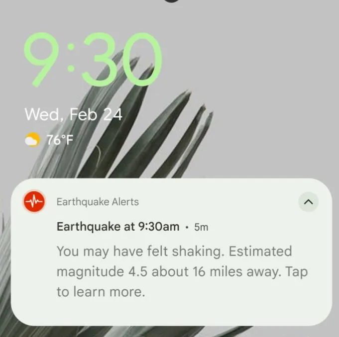 alerta