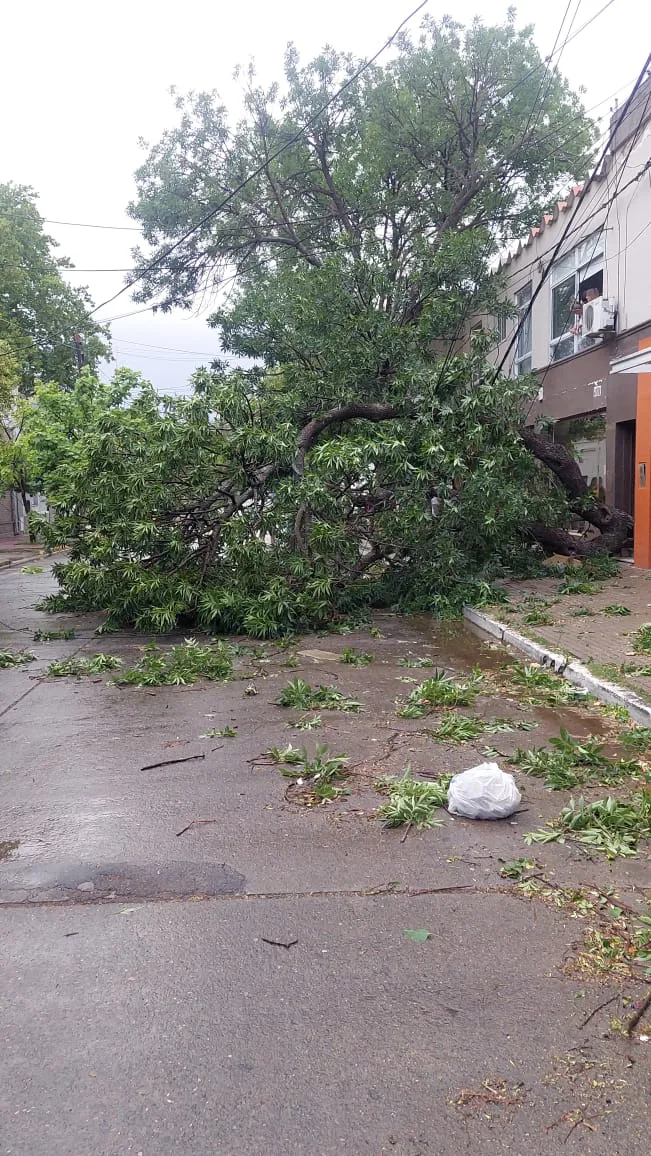 WhatsApp Image 2023-12-14 at 21.23.53 (1)