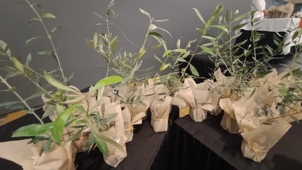 WhatsApp Image 2025-11-24 at 2.02.19 PM