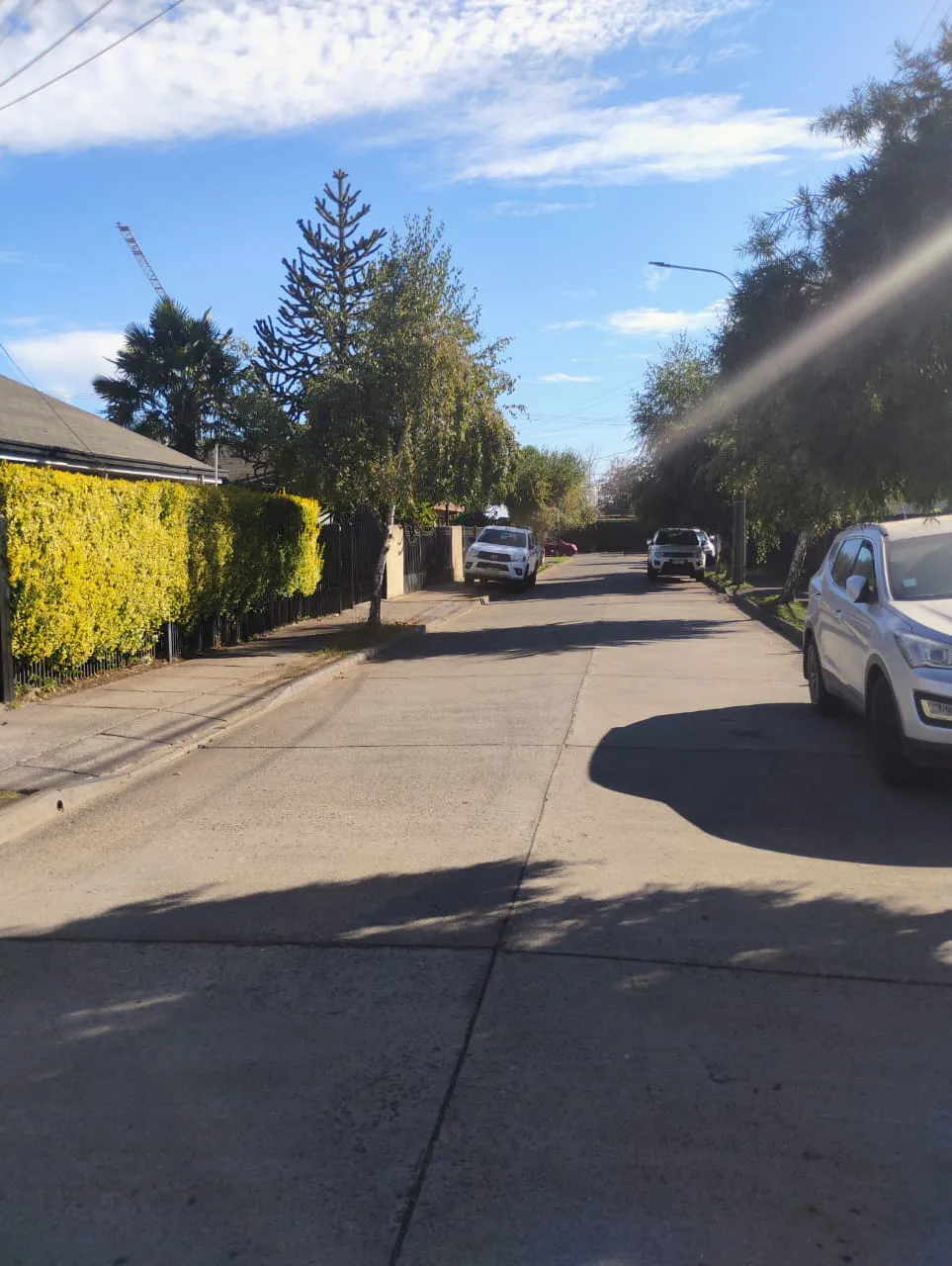 WhatsApp Image 2025-02-25 at 5.57.24 PM