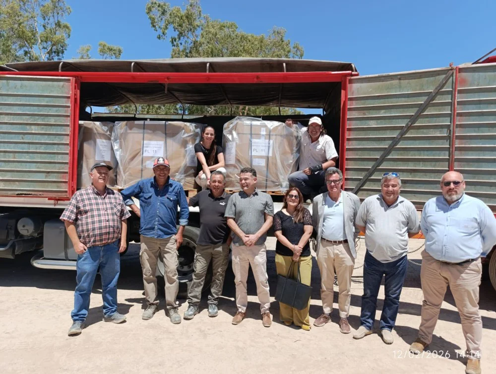 34f5324f8802b77c38f149e9c98cdffb_XL