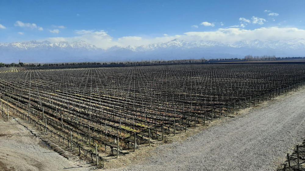 WhatsApp Image 2021-08-28 at 18.57.13