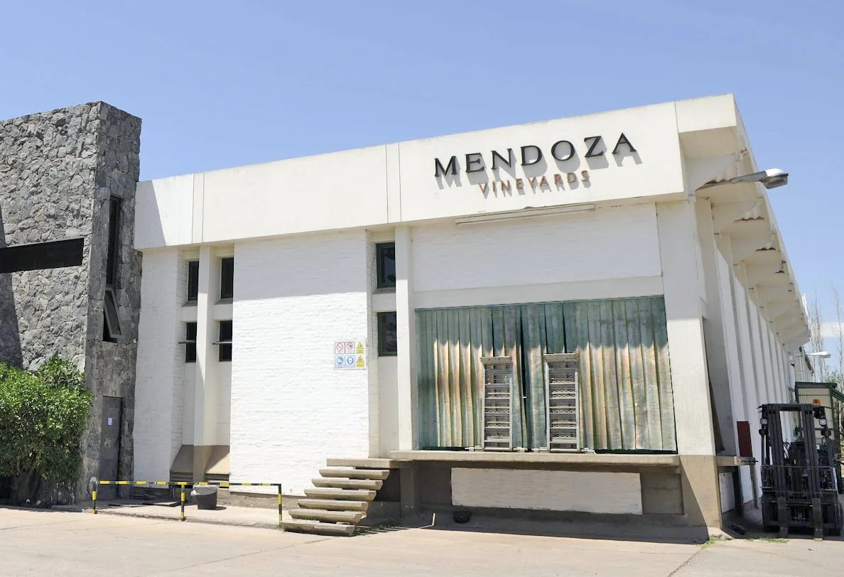 bodega mza vineyards 3