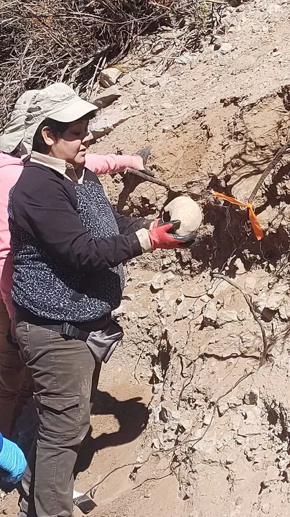 WhatsApp Image 2022-09-10 at 21.06.42