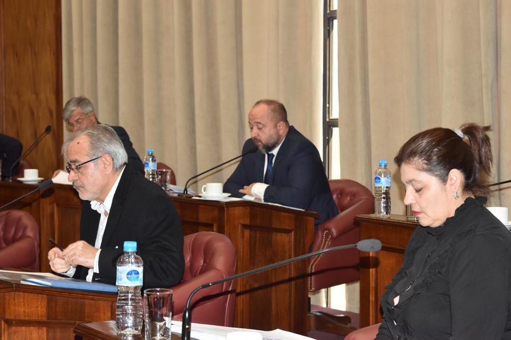 aprobacion senado sl