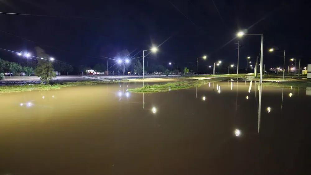 WhatsApp Image 2026-01-24 at 11.09.10 AM