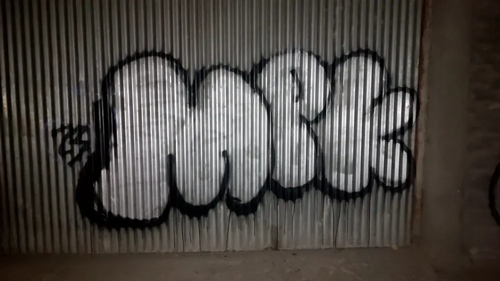 vandalismo infractor