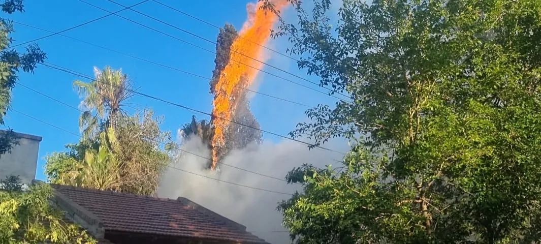 WhatsApp Image 2023-12-26 at 8.09.24 AM