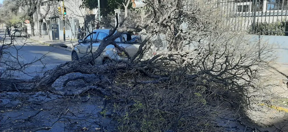 WhatsApp Image 2023-07-21 at 19.36.25 (1)