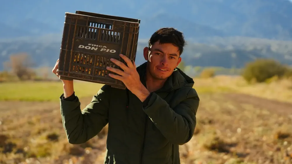 Francisco Castillo maní San Juan