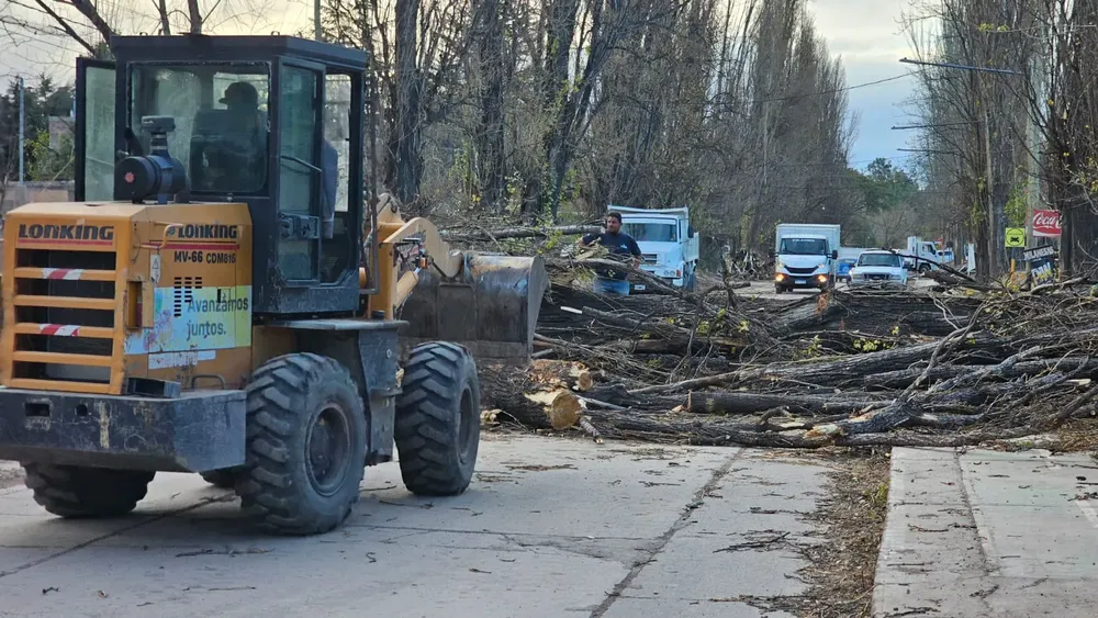 WhatsApp Image 2023-07-21 at 19.36.20 (2)