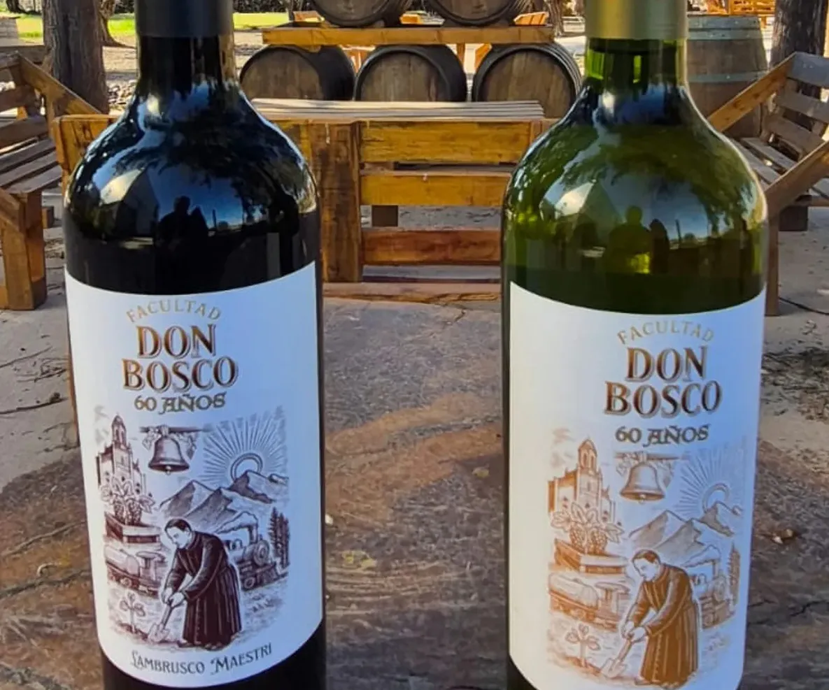 vinos don bosco 4