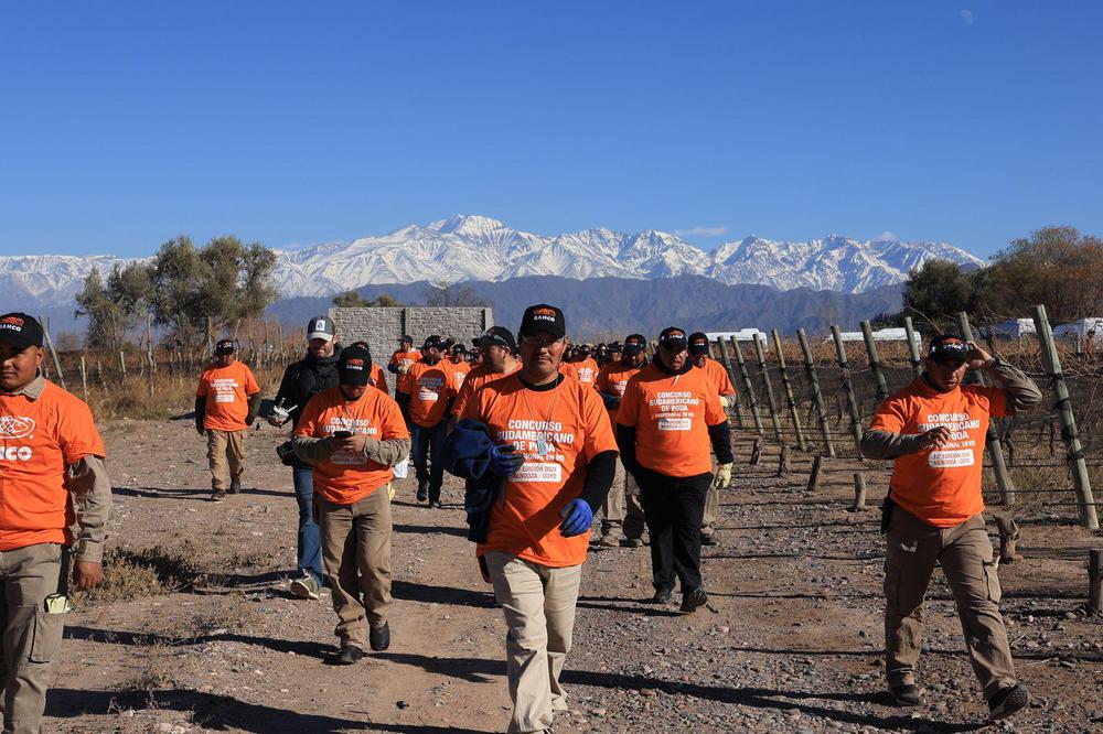 WhatsApp Image 2024-07-29 at 12.01.25