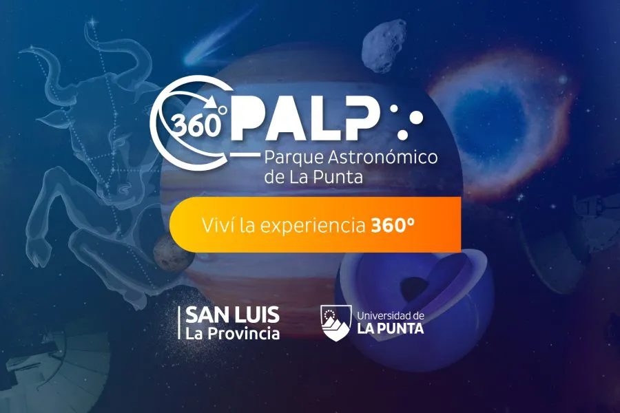 palp flyer