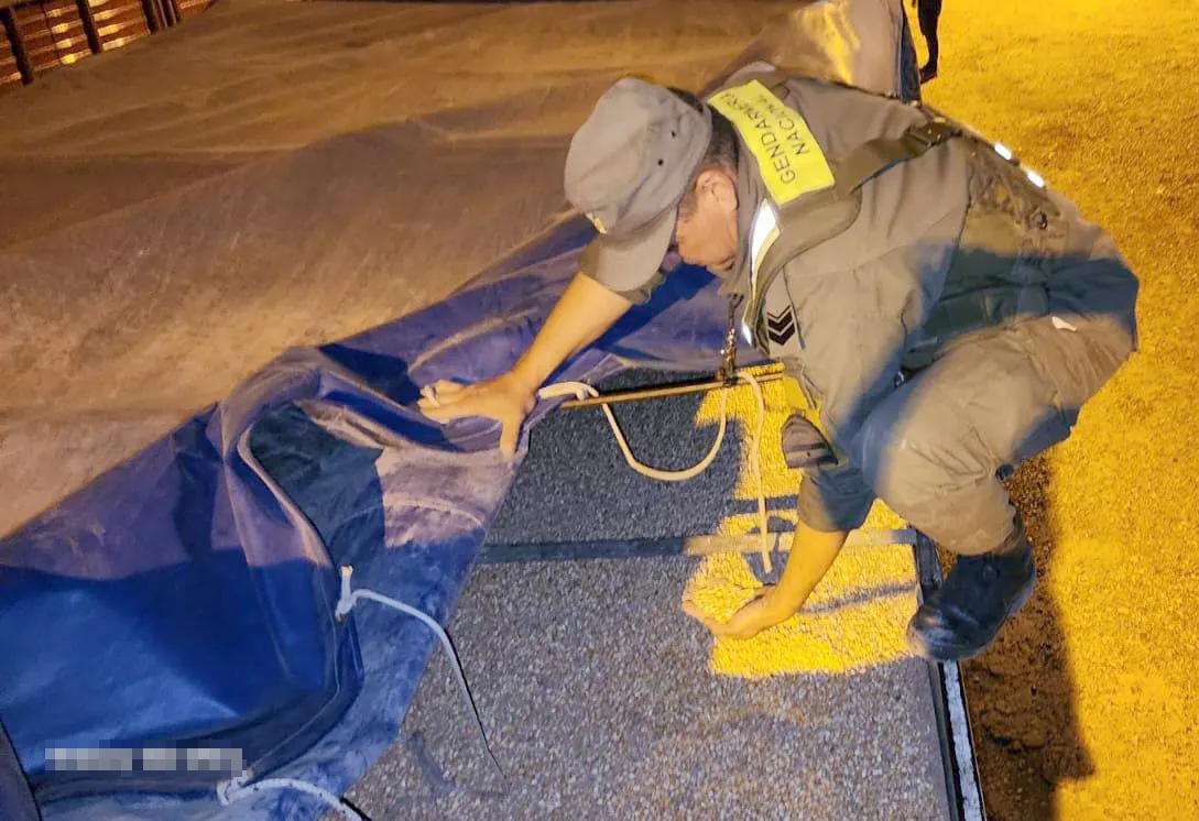 60 toneladas maíz (1)