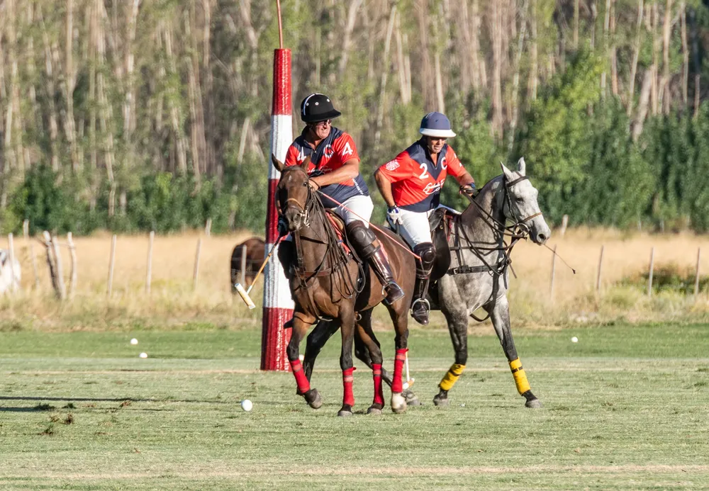 wine polo experience 5