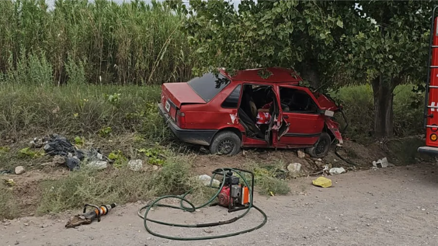 WhatsApp Image 2026-02-15 at 11.10.42 AM