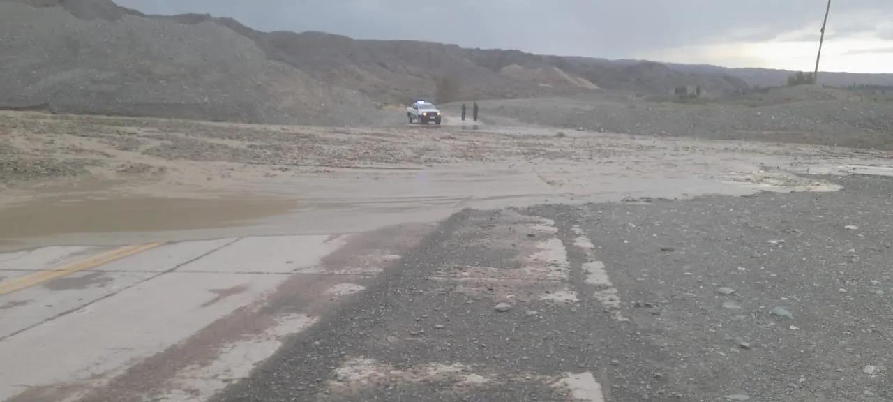 WhatsApp Image 2025-01-11 at 9.00.58 PM (1)