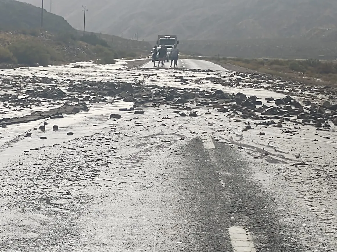 WhatsApp Image 2025-01-15 at 4.58.03 PM