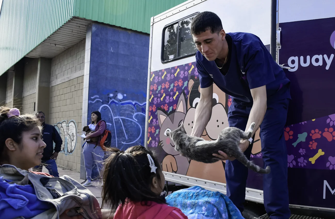 Movil-veterinario-1