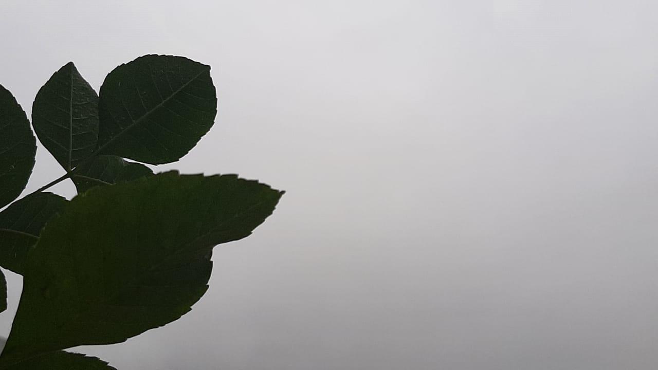 nublado