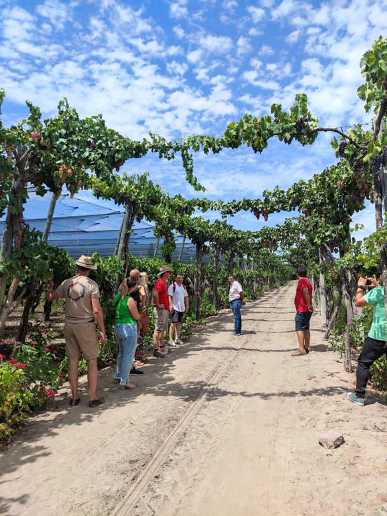 WhatsApp-Image-2024-02-19-at-9.08.19-AM