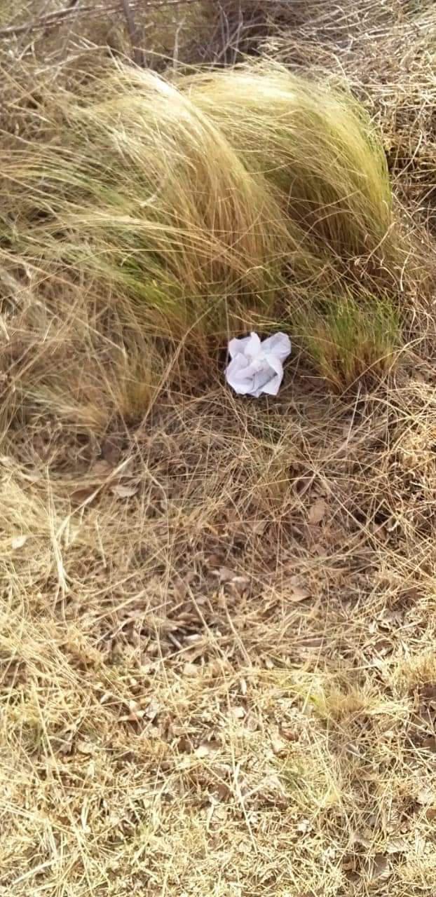 FB_IMG_1628078216358