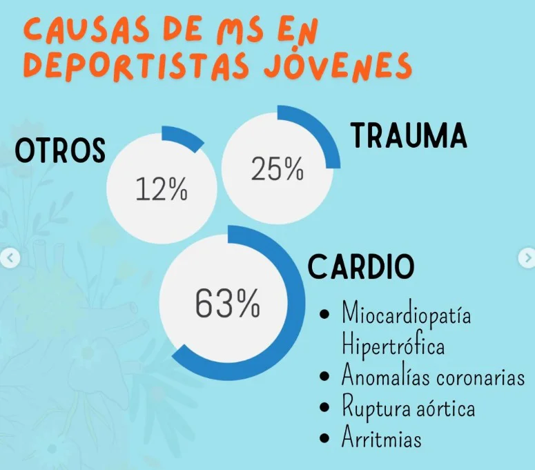 WhatsApp Image 2026-04-01 at 21.31.17 (3)