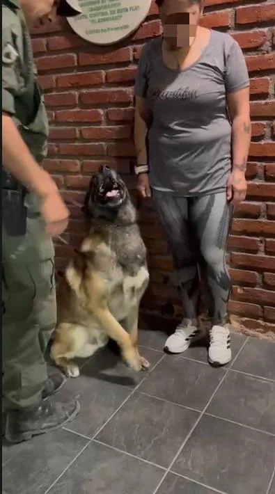 Mendoza 56,85 g cocaína2