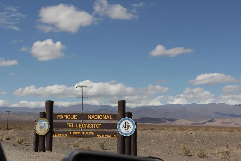 WhatsApp Image 2024-11-24 at 12.01.33 PM (2)