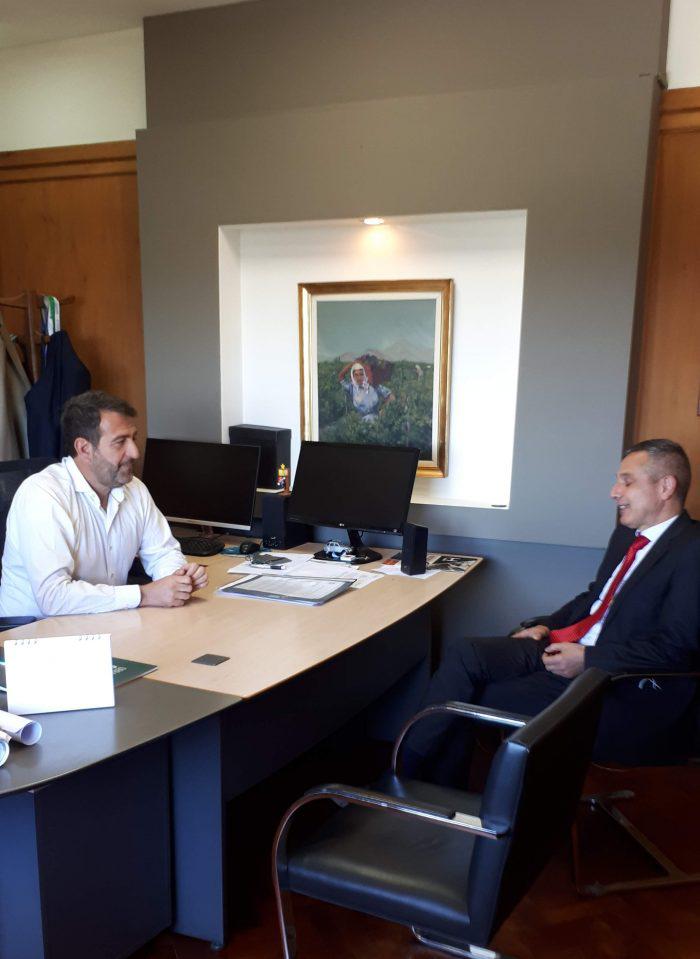 Recuperacion1-700x959