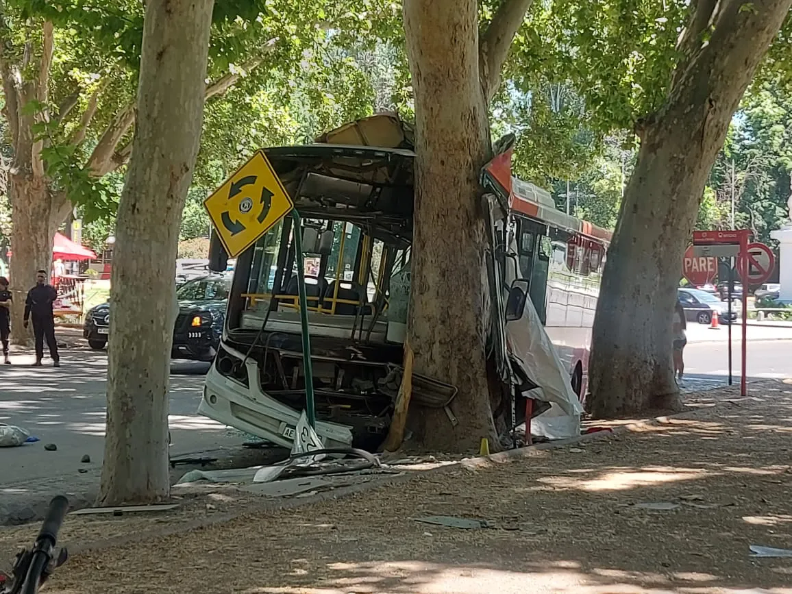 WhatsApp Image 2024-11-10 at 12.14.01 PM