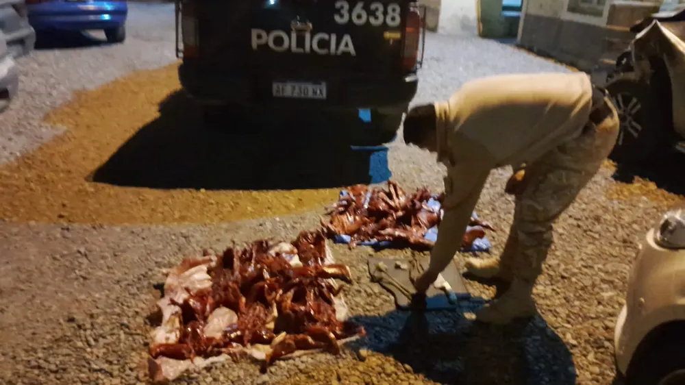 animales silvestres faenados (2)