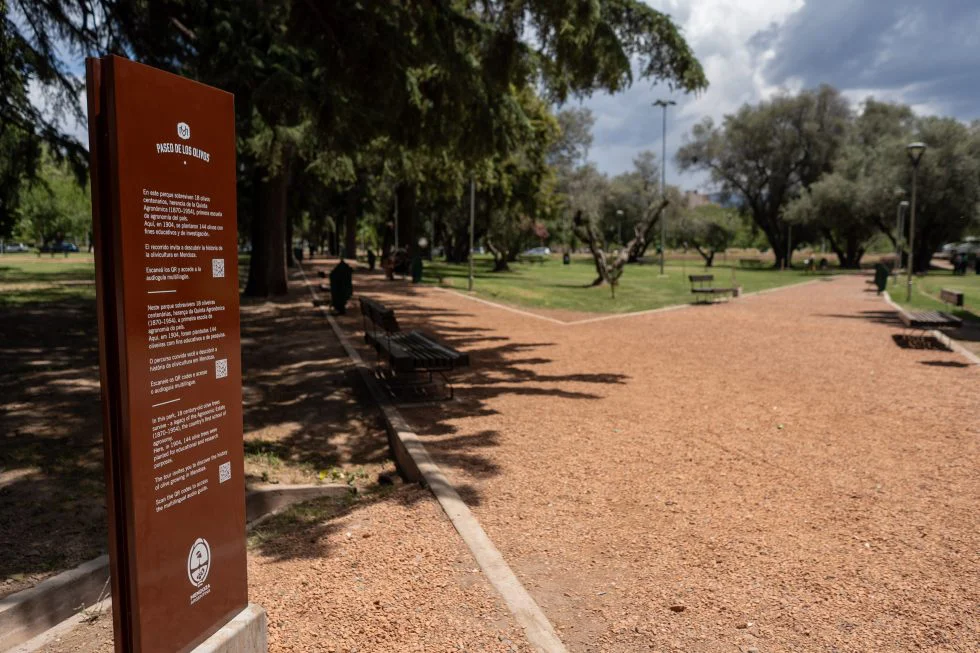paseo de los olivos 2