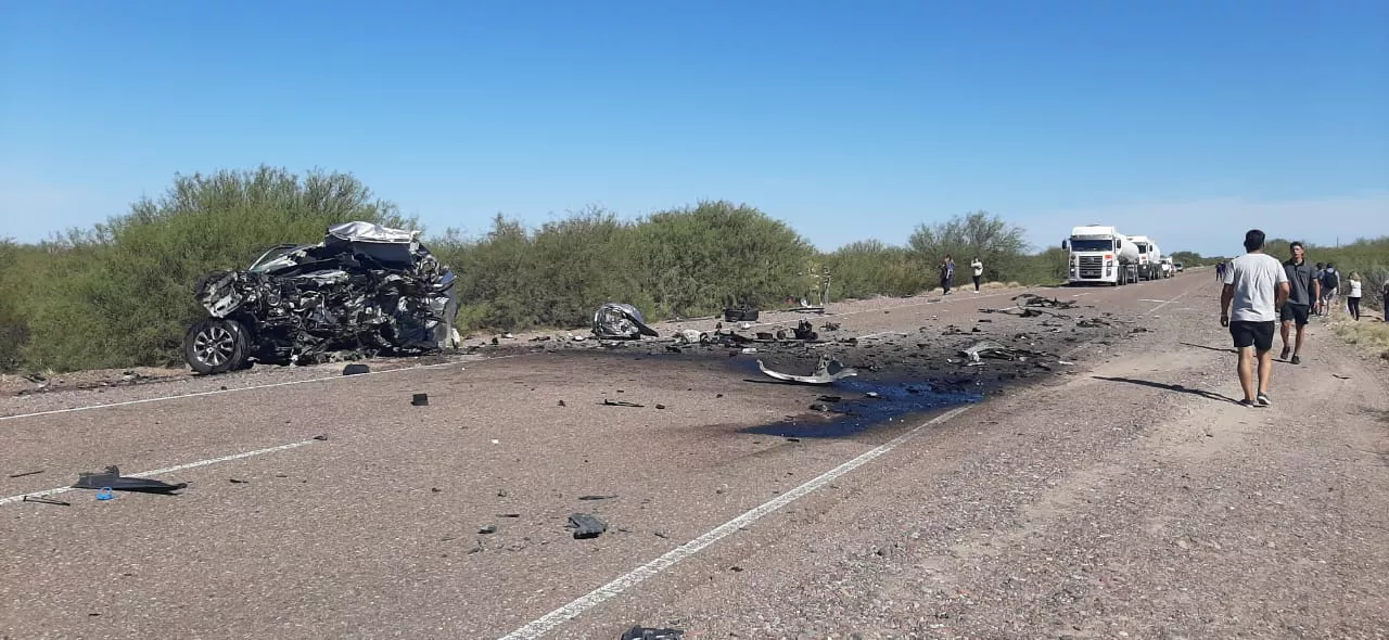 WhatsApp Image 2023-02-26 at 17.21.31